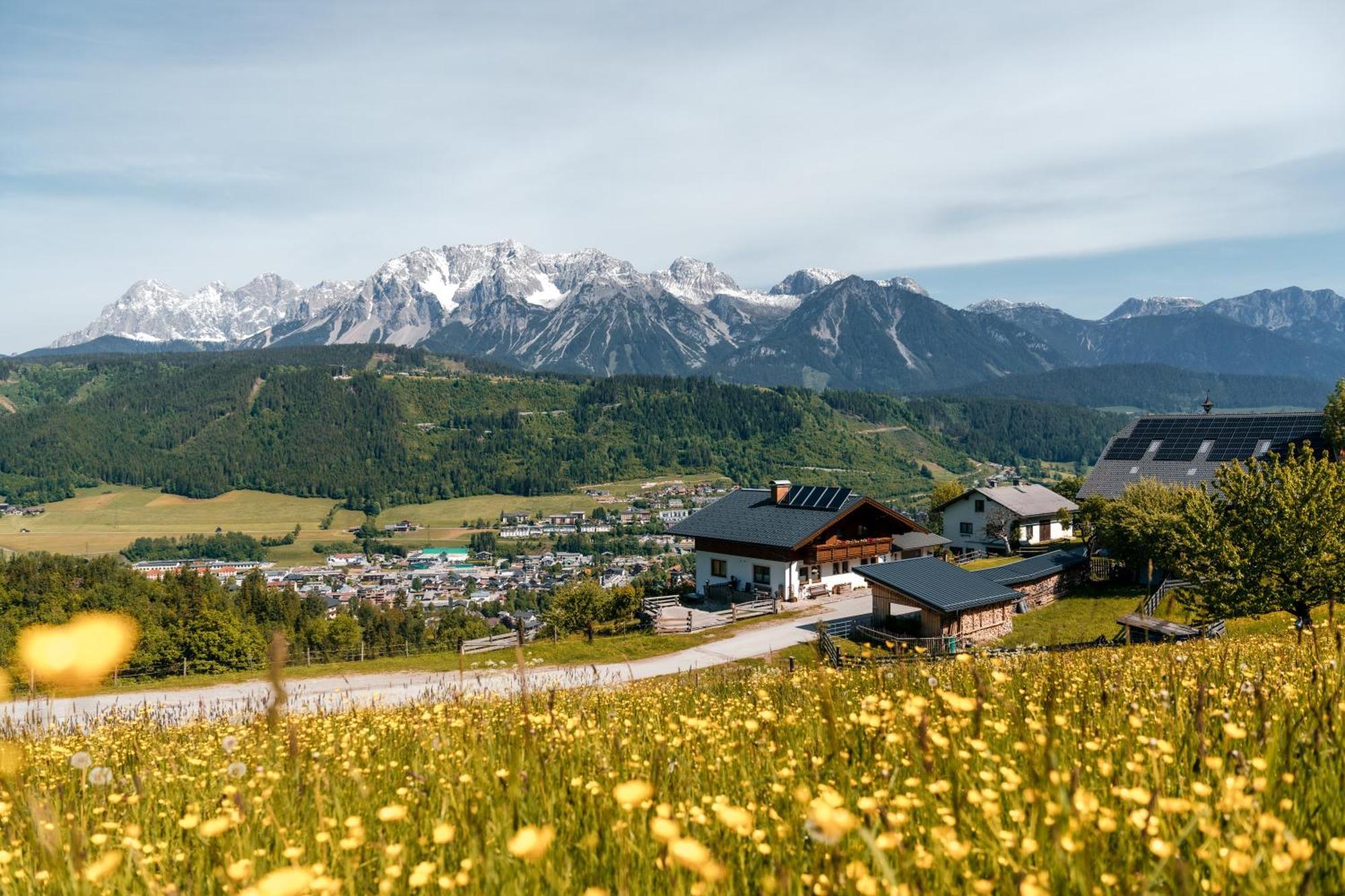 Pension Spreitzhof & Appartement Royer Guest house